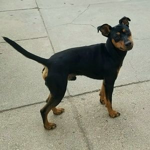 Meet your Posher, Matthew